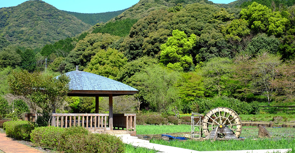 風景